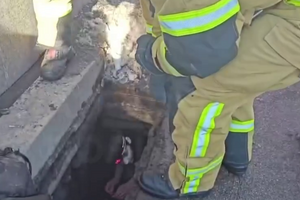 Патрульні й рятувальники виявили дітей у зливній каналізації на вулиці Хрещатик