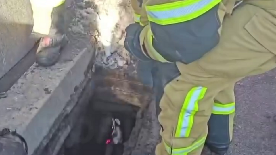 Патрульные и спасатели обнаружили детей в сливной канализации на улице Крещатик