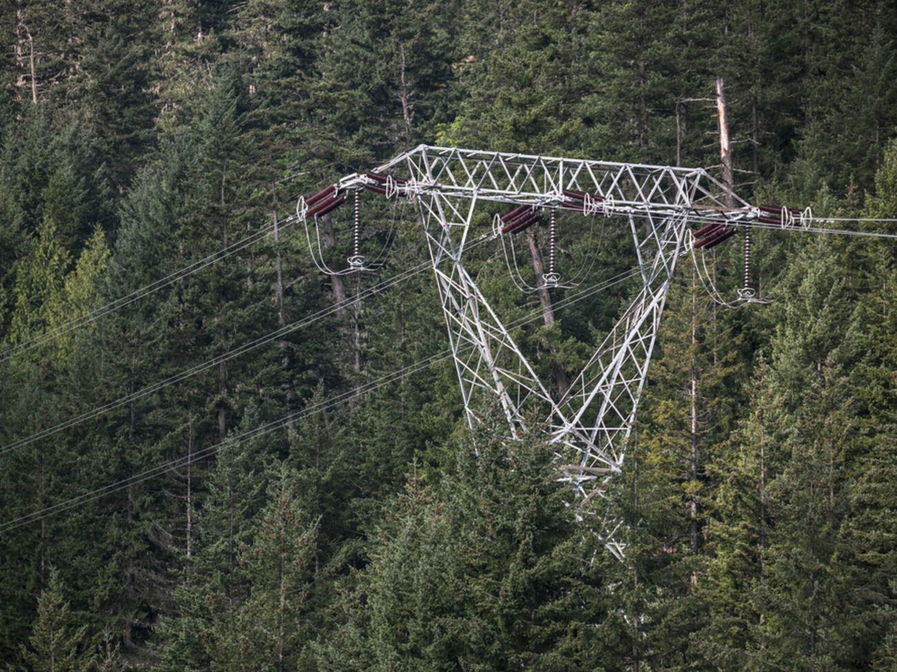 Голова правління УВЕА заявив про ризики впровадження оновлених правил передиспетчеризації