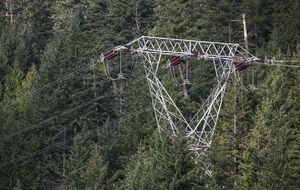 Голова правління УВЕА заявив про ризики впровадження оновлених правил передиспетчеризації