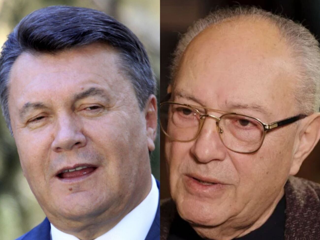 Злотник: Янукович вважав, що має мені пояснити, чому він потрапив до в'язниці двічі