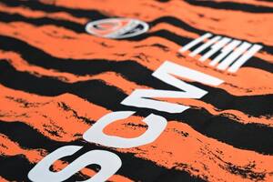 Бизнес и гуманитарные структуры украинского бизнесмена Рината Ахметова отчитались о предоставлении помощи на 13,5 млрд грн