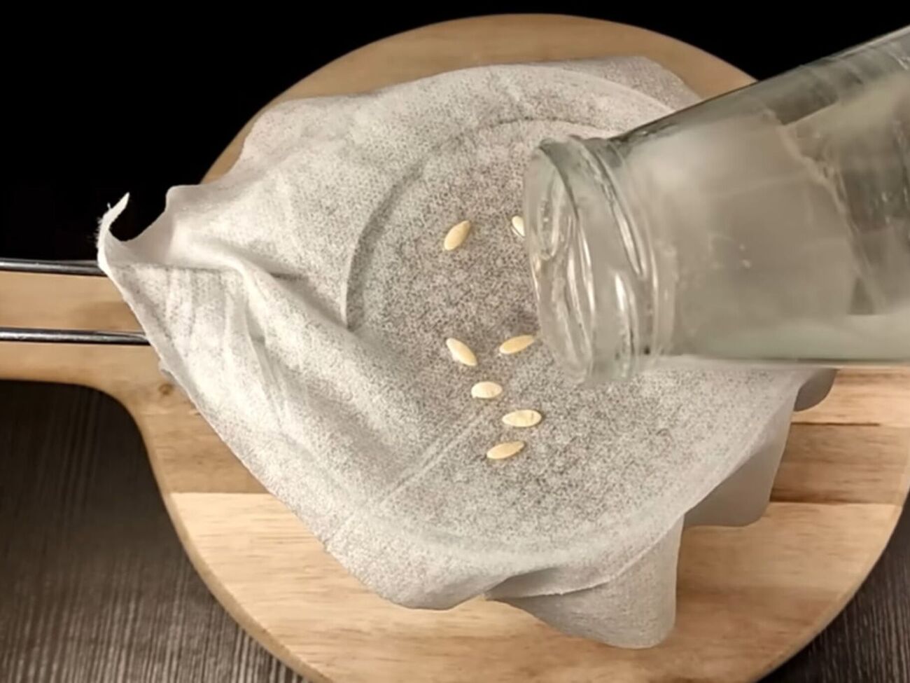 Семена перед проращиванием нужно замочить