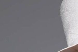 В 1945 году Чапкис начал творческую карьеру и стал танцовщиком Ансамбля песни и пляски