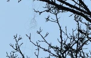 У Харкові зафіксували застосування дрона РФ на оптоволокні