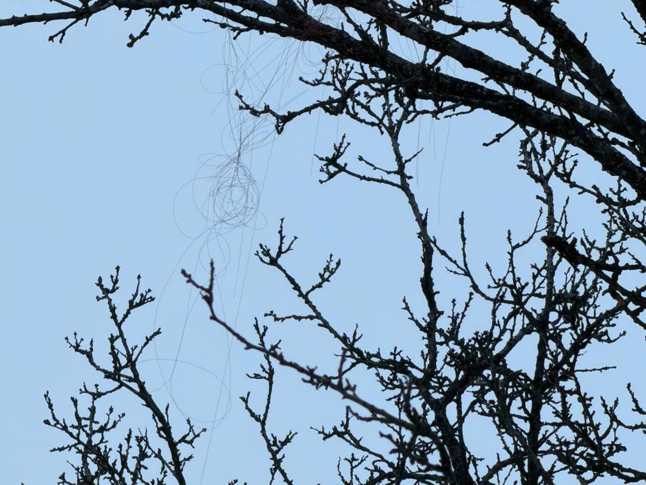 В Харькове зафиксировали применение дрона РФ на оптоволокне