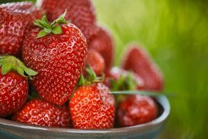 Полуниця цього сорту має дуже привабливий вигляд