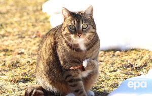 Среднемесячная температура в марте будет колебаться от +1 °С до +7 °С