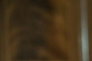 Поклад жил в подвале собственного дома в течение двух недель после начала войны