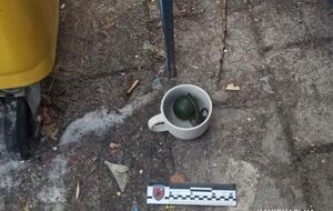 Бойову гранату знешкодили й передали на експертизу