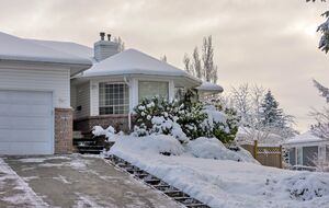 Такий засіб розчищення доріжок має певні протипоказання