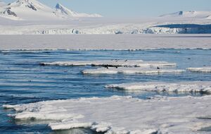 НАТО планирует миссию в Арктике