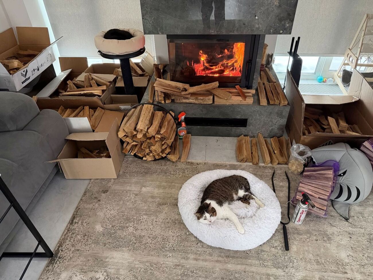 Опытные хозяева посоветовали заранее позаботиться о хранении дров