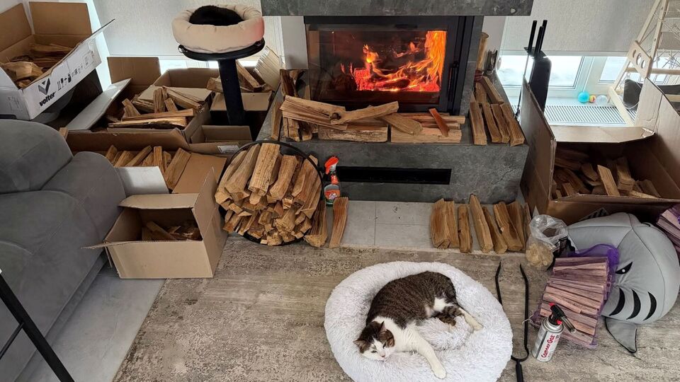 Досвідчені господарі порадили заздалегідь подбати про зберігання дров