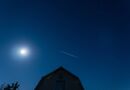 У Китаї мережу Starlink назвали стратегічною загрозою