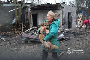 Многие животные ранены, сообщили власти