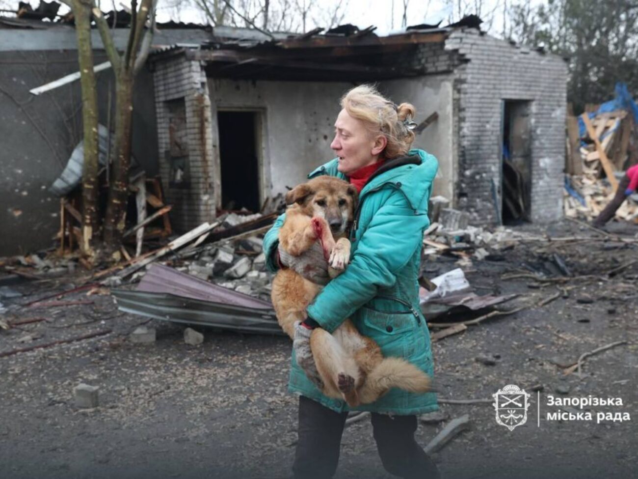 Многие животные ранены, сообщили власти