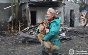 Многие животные ранены, сообщили власти