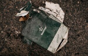 Захватчиков взяли в плен на запорожском направлении недалеко от Павловки