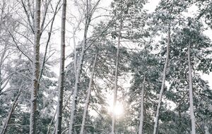 Украину ожидают две морозные ночи