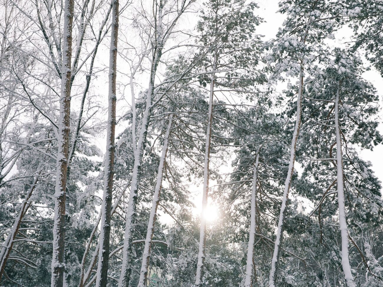 Україну очікує дві морозні ночі