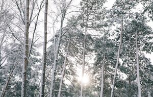 Україну очікує дві морозні ночі