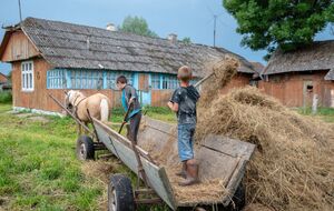 Зеленский: Село будет актуальным, нужно немного времени