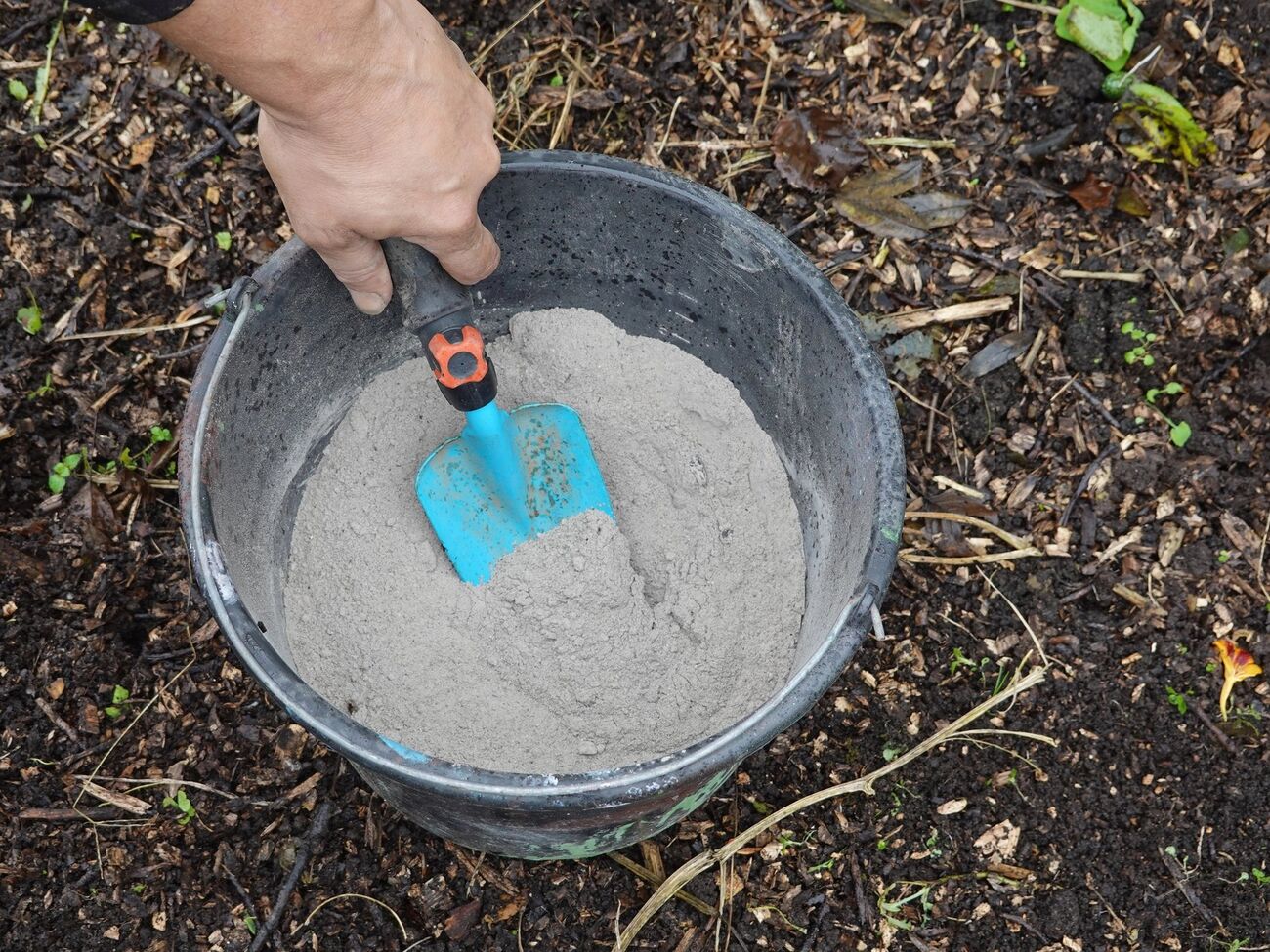 Вместо золы можно использовать любые другие удобрения, но без содержания азота