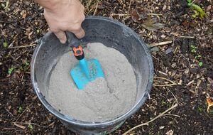 Вместо золы можно использовать любые другие удобрения, но без содержания азота