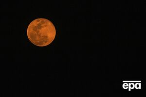 Маск хоче будувати міста на Місяці