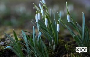 Температура воздуха ночью будет колебаться в пределах +1...-4 °С