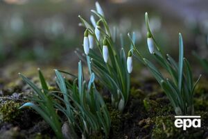 Температура повітря вночі коливатиметься в межах +1...-4 °С