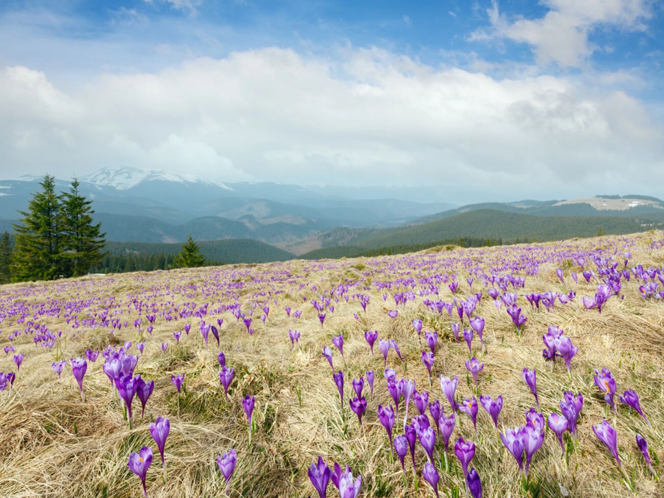 Первое путешествие в Карпаты: советы путешественникам-новичкам