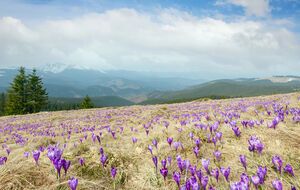 Первое путешествие в Карпаты: советы путешественникам-новичкам