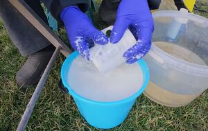 Первая ранневесенняя обработка сада сочетает в себе профилактические и лечебные свойства