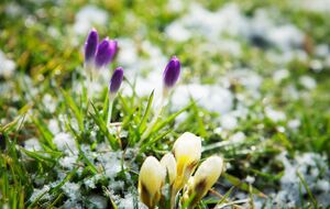 Дожди и мокрый снег прогнозируют преимущественно в западных, северных и частично восточных областях Украины