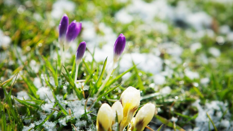 Дощі й мокрий сніг прогнозують переважно в західних, північних і частково східних областях України