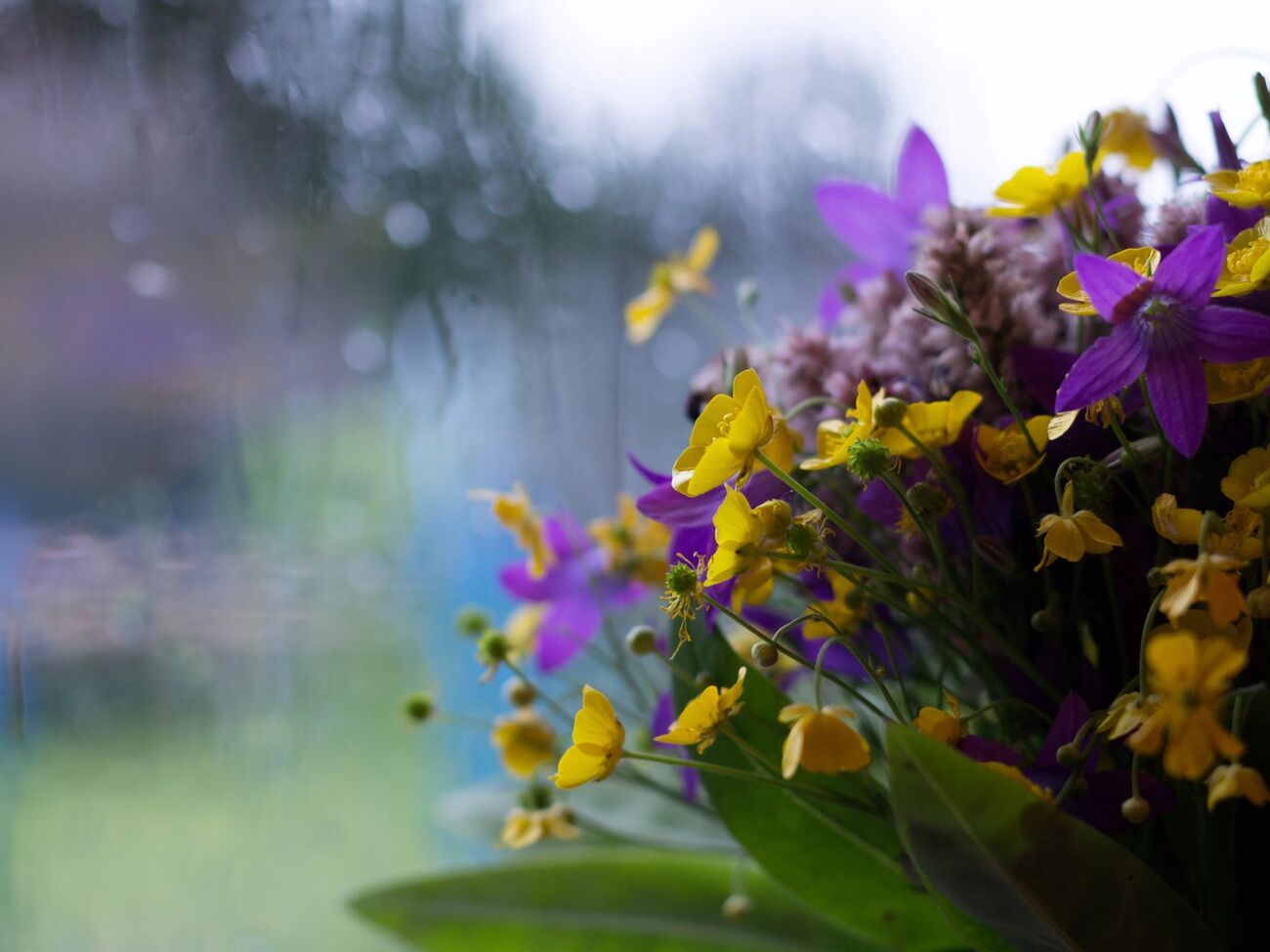 Ночью возможны слабые заморозки, днем воздух будет ощутимо прогреваться