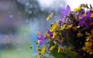 Ночью возможны слабые заморозки, днем воздух будет ощутимо прогреваться