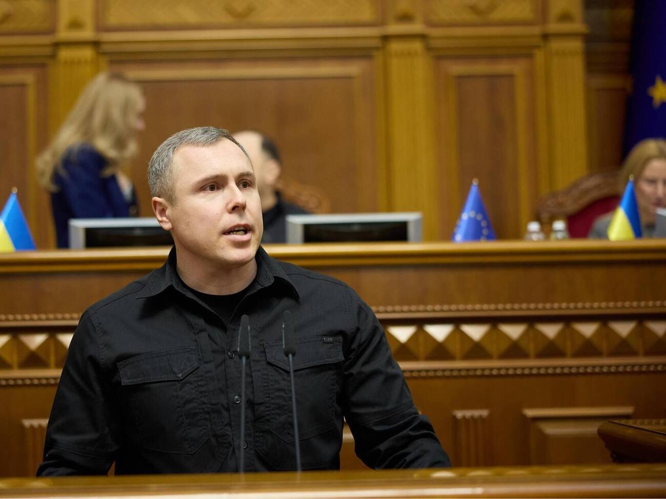 Костенко: У нас мають працювати всі інституції