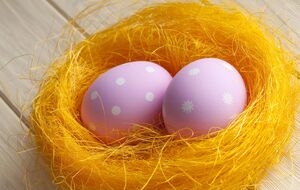 Для фарбування яєць можна використовувати куркуму, червонокачанну капусту й навіть гілки вишні