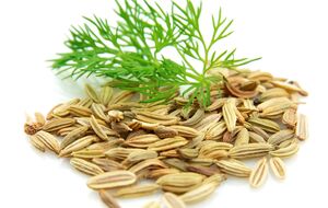 Семена укропа перед посевом нужно активировать