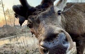 У Бориса – серьезная травма ноги, его сочли нетранспортабельным