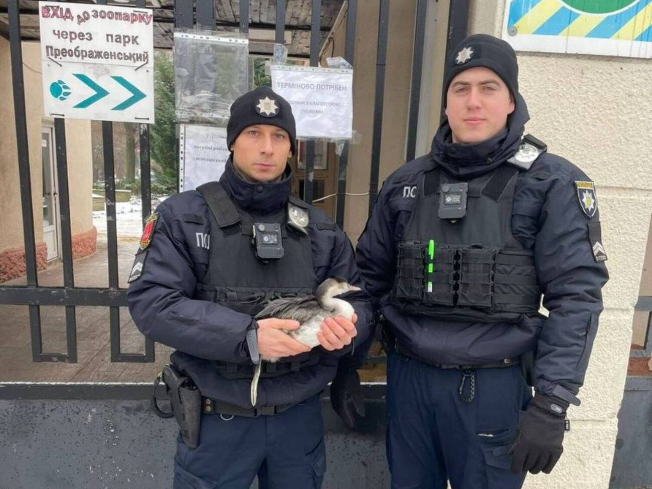 Постраждалі патрульні, які зараз борються за життя, два місяці тому в Одесі врятували ослабленого норця