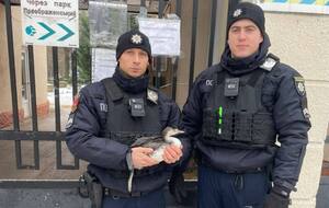 Постраждалі патрульні, які зараз борються за життя, два місяці тому в Одесі врятували ослабленого норця