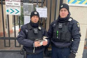 Постраждалі патрульні, які зараз борються за життя, два місяці тому в Одесі врятували ослабленого норця