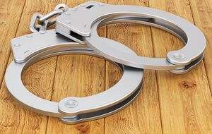 Фігуранту загрожує до восьми років позбавлення волі