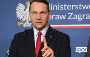 Сікорський висловився про тих, хто підтримує Орбана на виборах