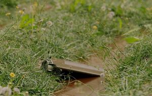 За словами експерта, міни розміщені у спеціальних круглих контейнерах під крилами