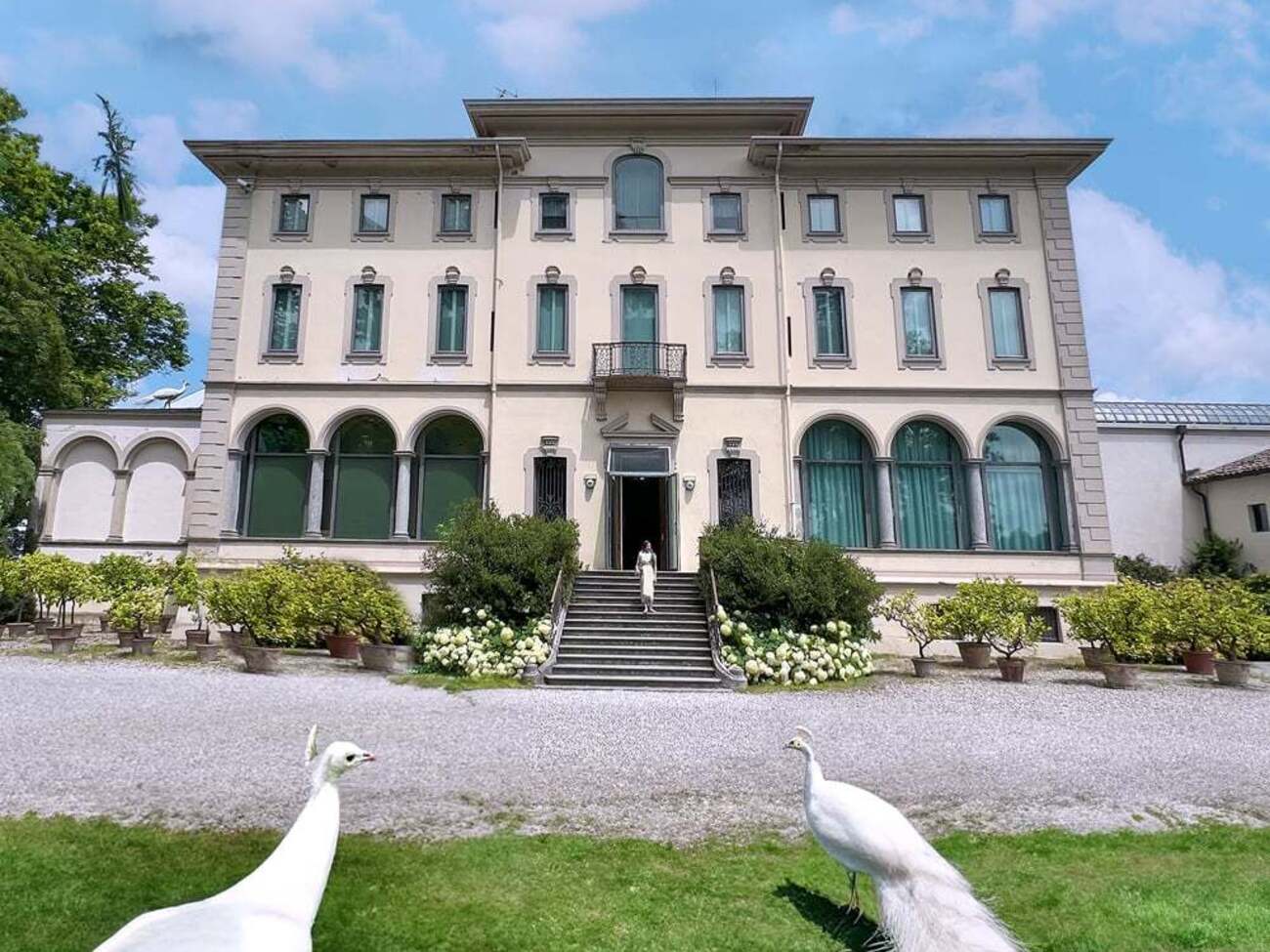 Грабіжники зламали двері вілли, де зберігають унікальну колекцію мистецтвознавця Луїджі Маньяні